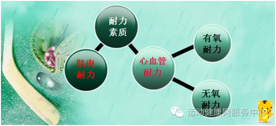 耐力锻炼项目_耐力训练运动_练耐力的运动