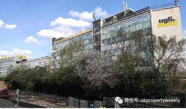 明星打造健身帝国_健身帝国大厦_帝国健身明星打造方案